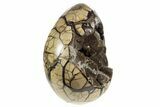 Huge, Septarian Dragon Egg Geode ( lbs!) - Black Crystals #329479-1
